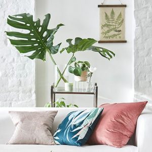 Botanica-Homeware-vasi